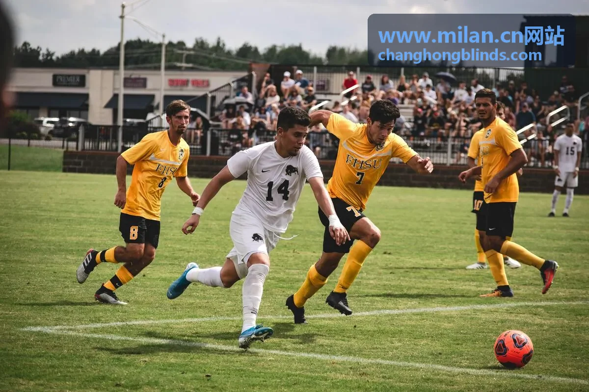 www.milan.cn网站 全遮光卷帘回放封面